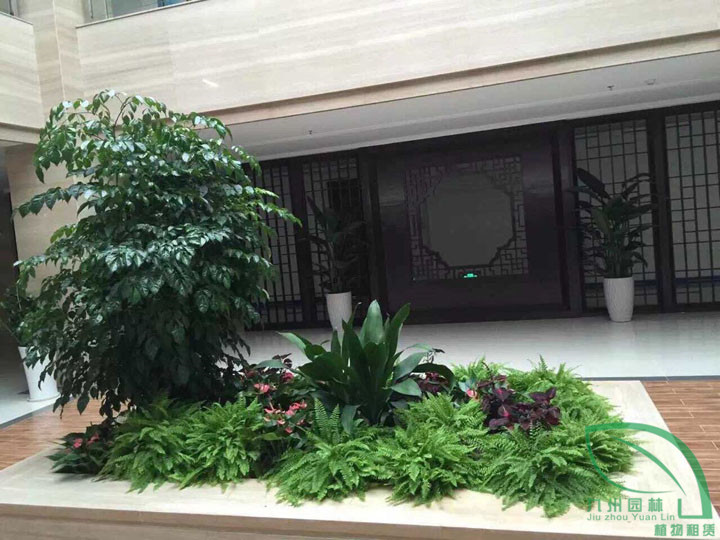 花壇植物組合