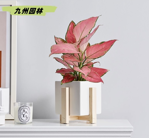 萬事如意